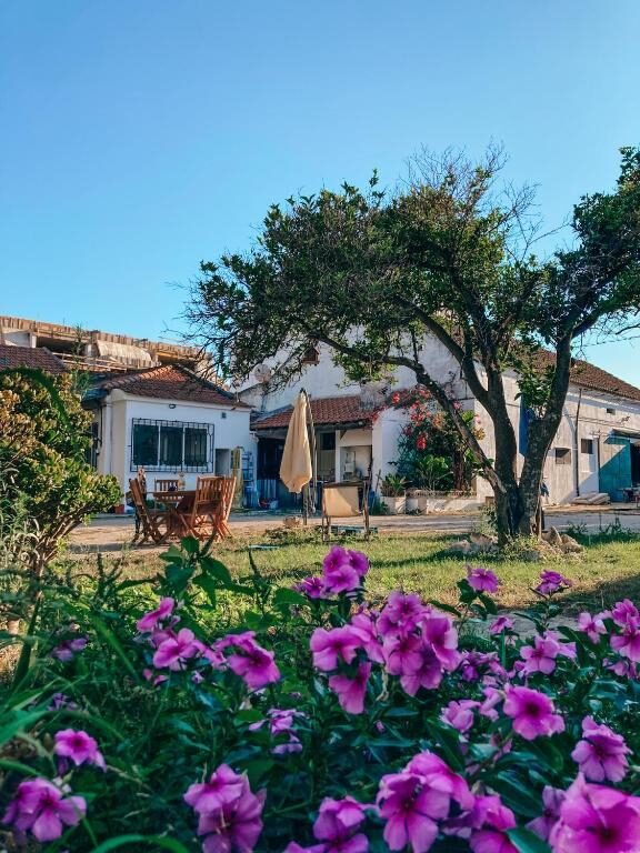 Montijo Garden